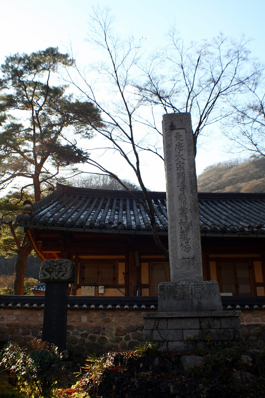 Baekyangsa Temple Food & Mindful Table thumbnail 4