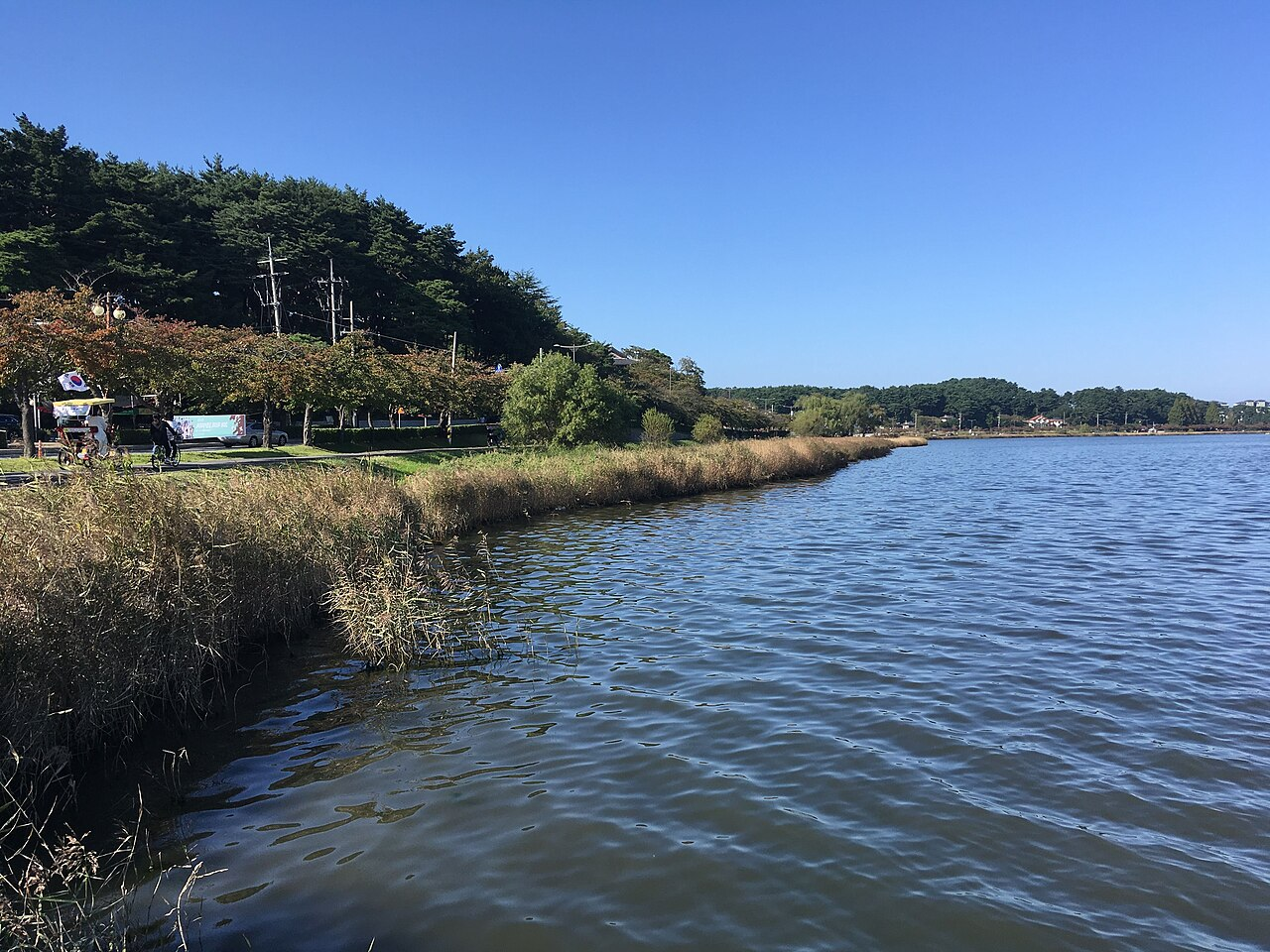 江陵松と海のリズム thumbnail 4