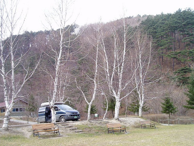 Daegwallyeong National Recreational Forest, Gangneung