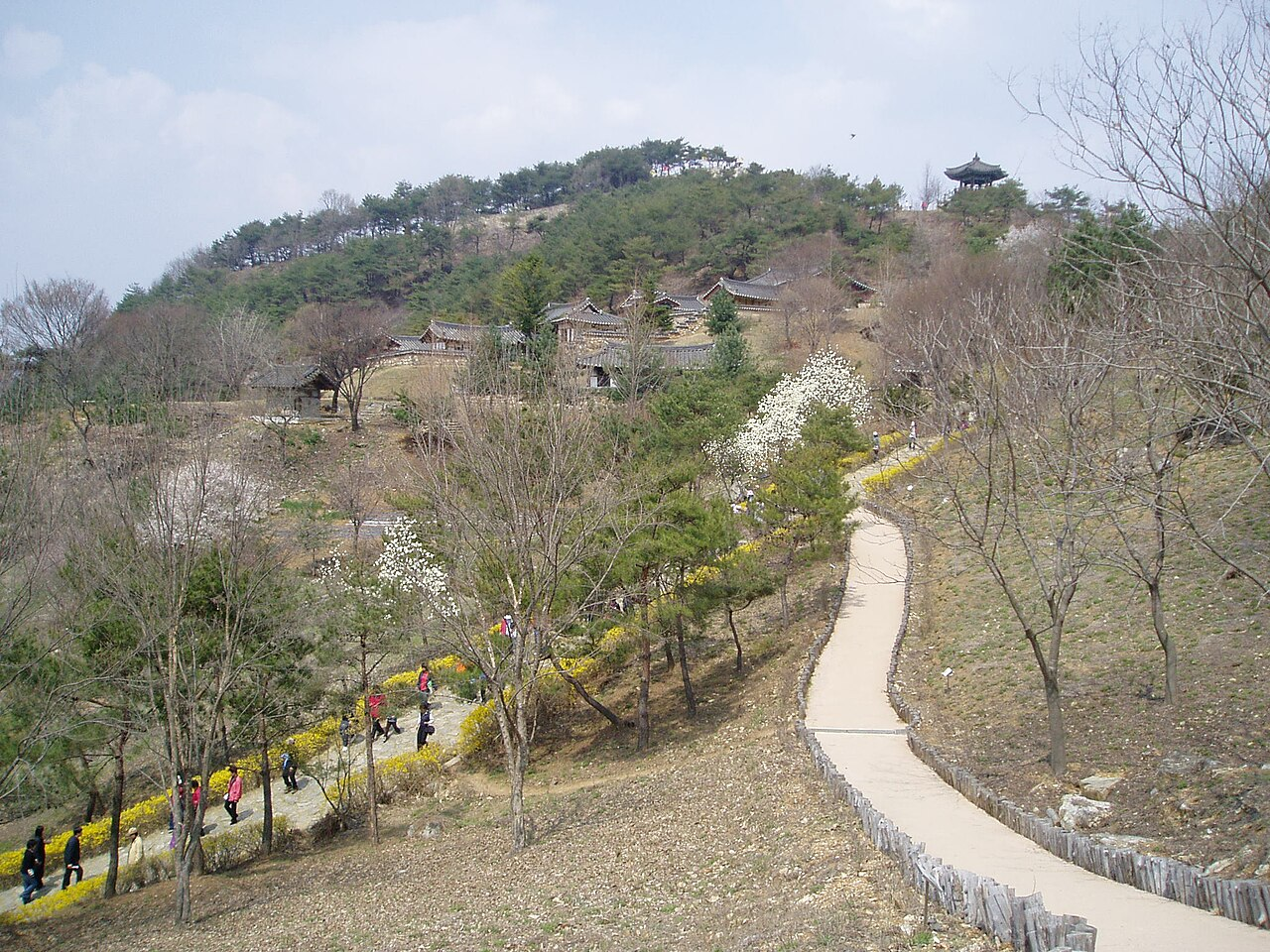 Jecheon Forest & Lake Retreat thumbnail 5
