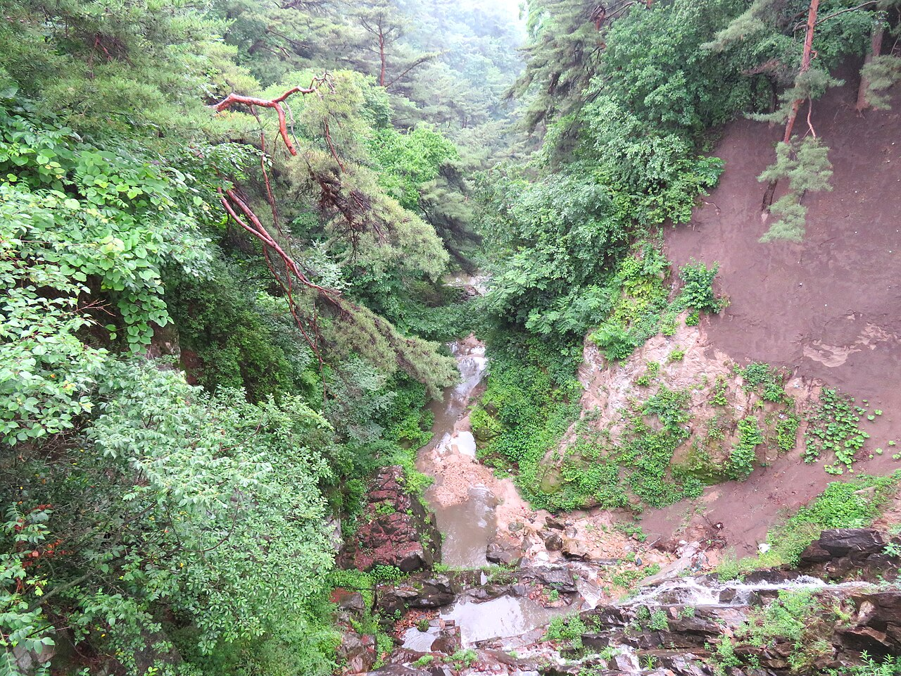 Jecheon Forest & Lake Retreat thumbnail 4