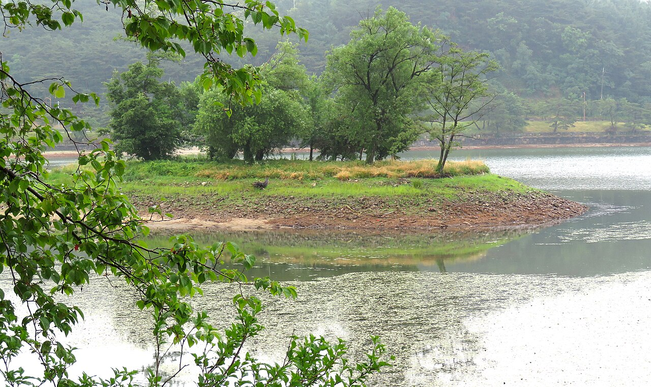 Jecheon Forest & Lake Retreat thumbnail 3