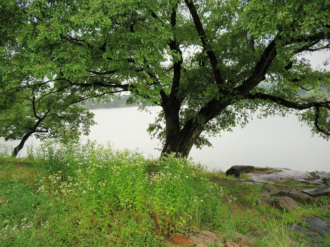 Jecheon Forest & Lake Retreat thumbnail 2