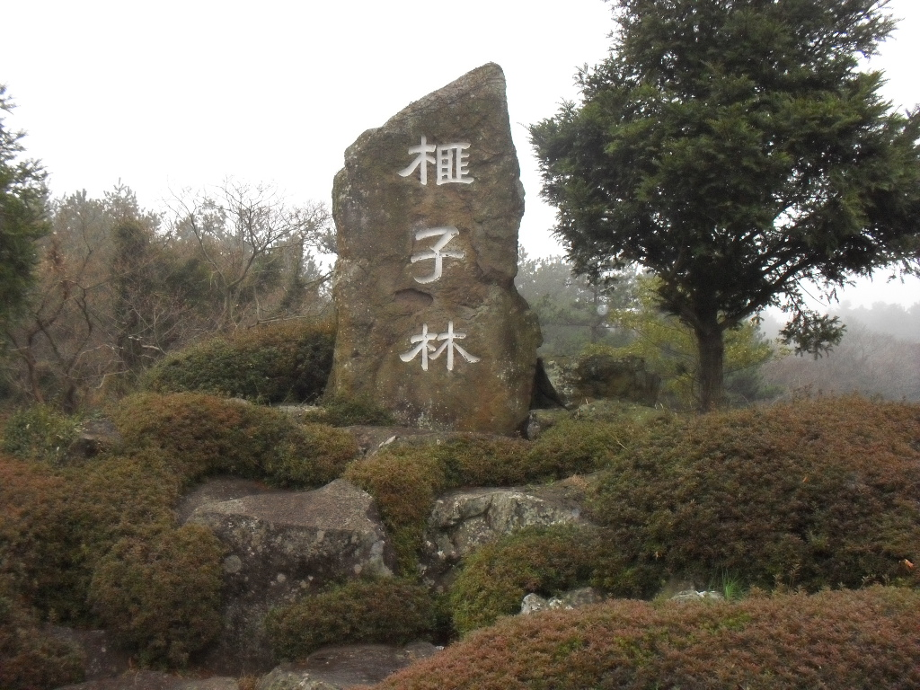 Jeju 901 Yoga & Island Flow thumbnail 6