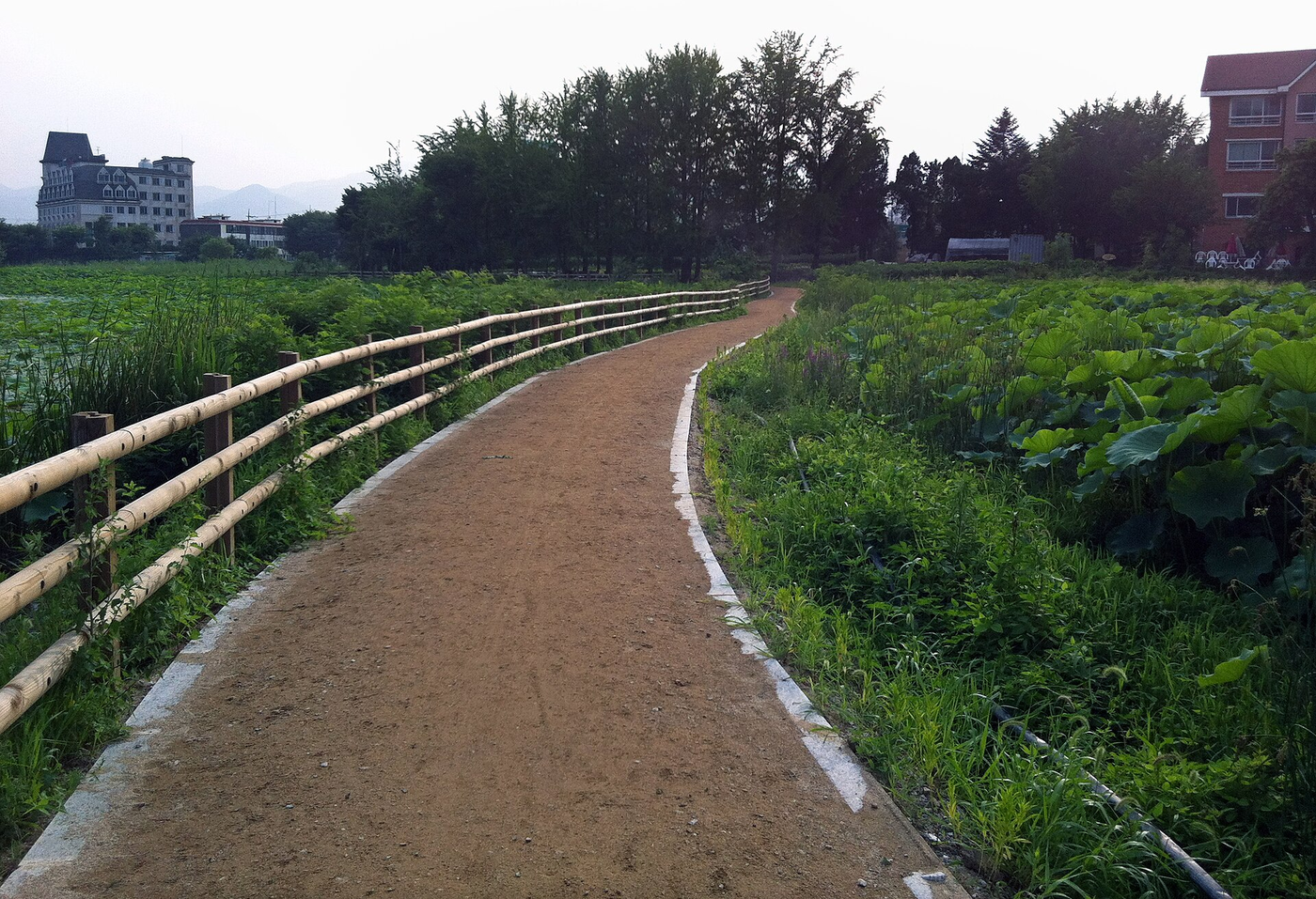 Dumulmeori Mullae trail, Yangpyeong; Mirinae is not pictured