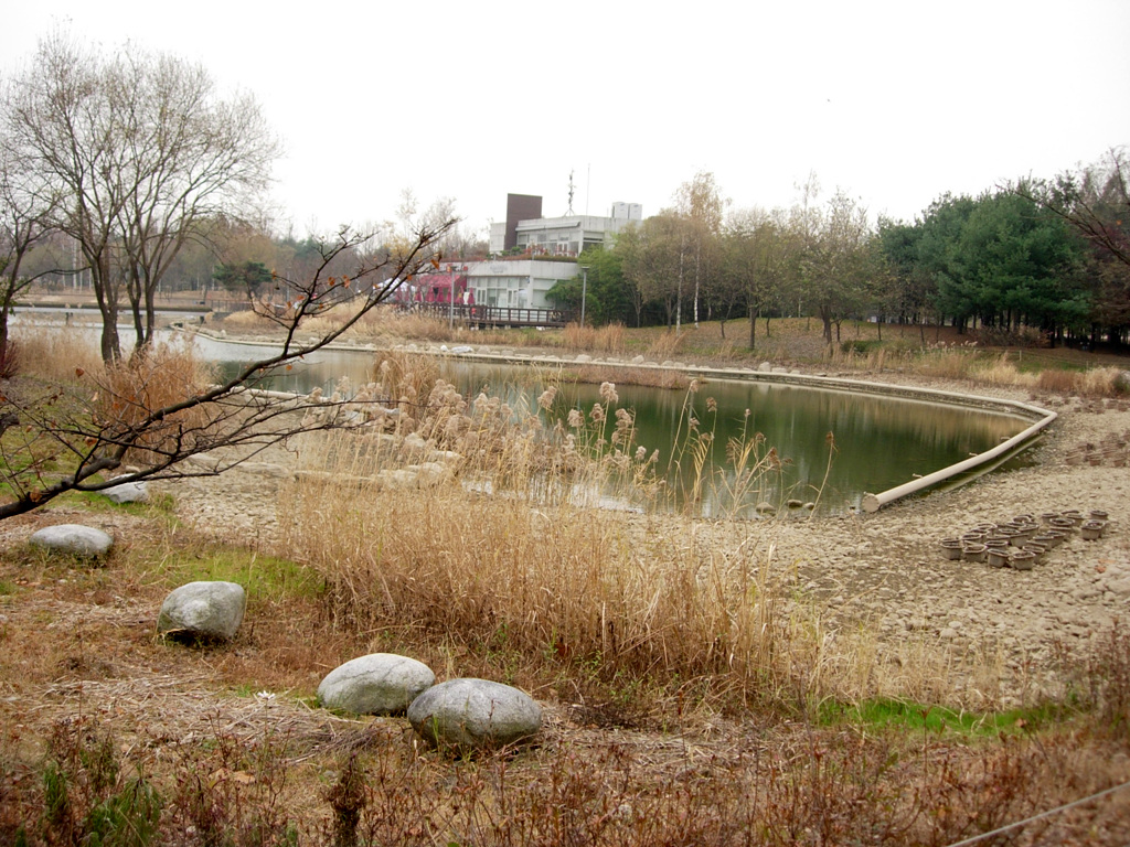 Seoul Forest lake