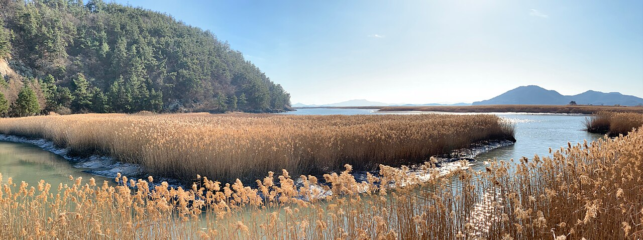 Boseong & Suncheon Tea Slow Journey thumbnail 7