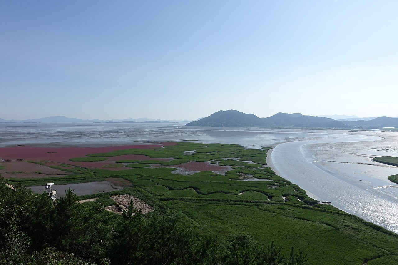 Boseong & Suncheon Tea Slow Journey thumbnail 8
