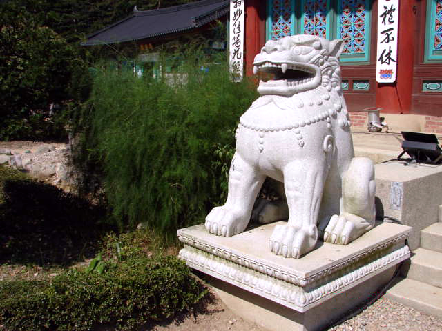 Woljeongsa Fir Forest Temple Pause thumbnail 4