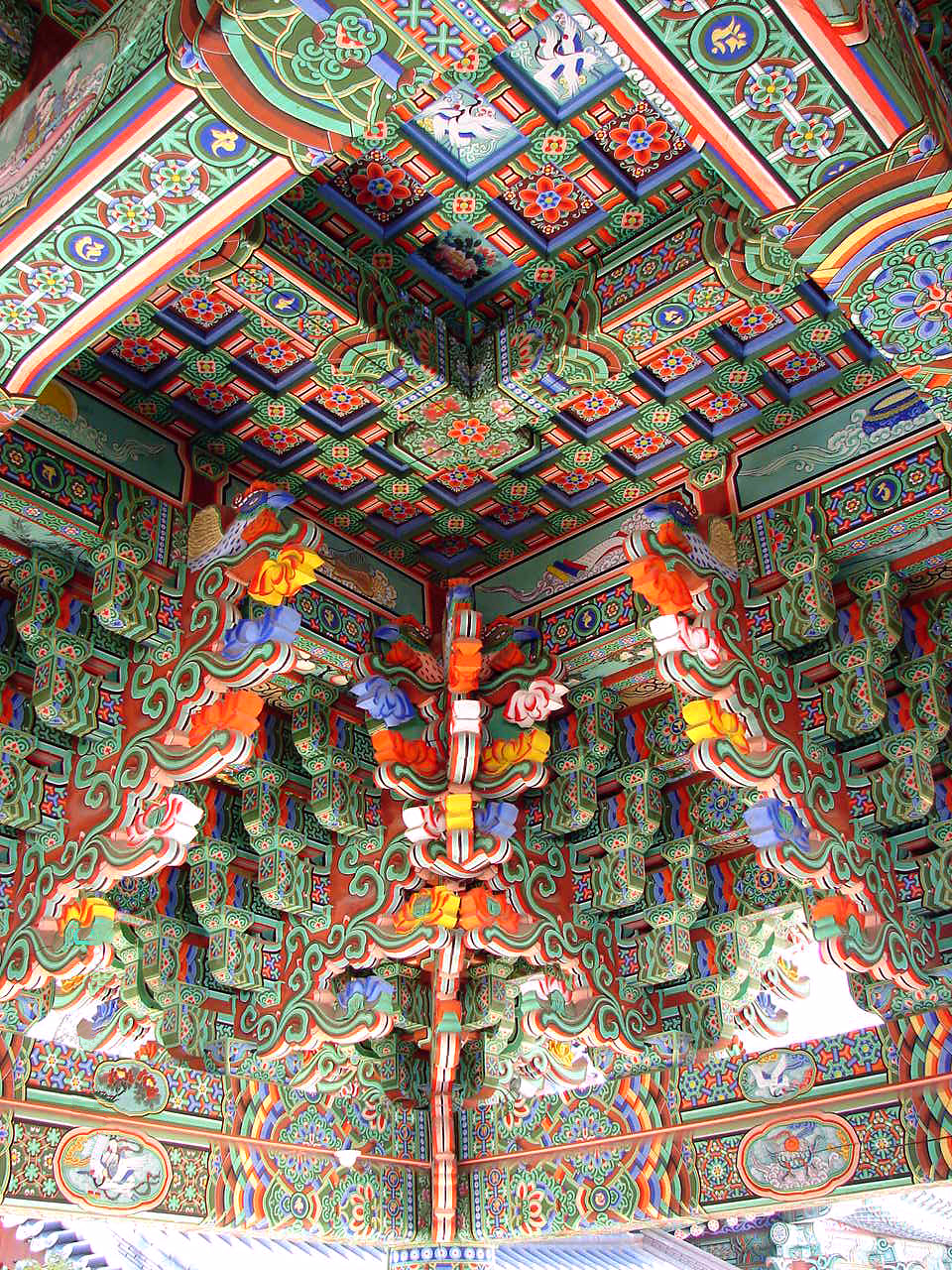 Woljeongsa Fir Forest Temple Pause thumbnail 7