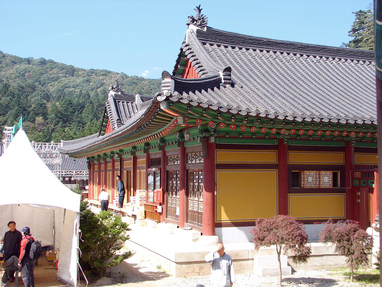 Woljeongsa Fir Forest Temple Pause thumbnail 8