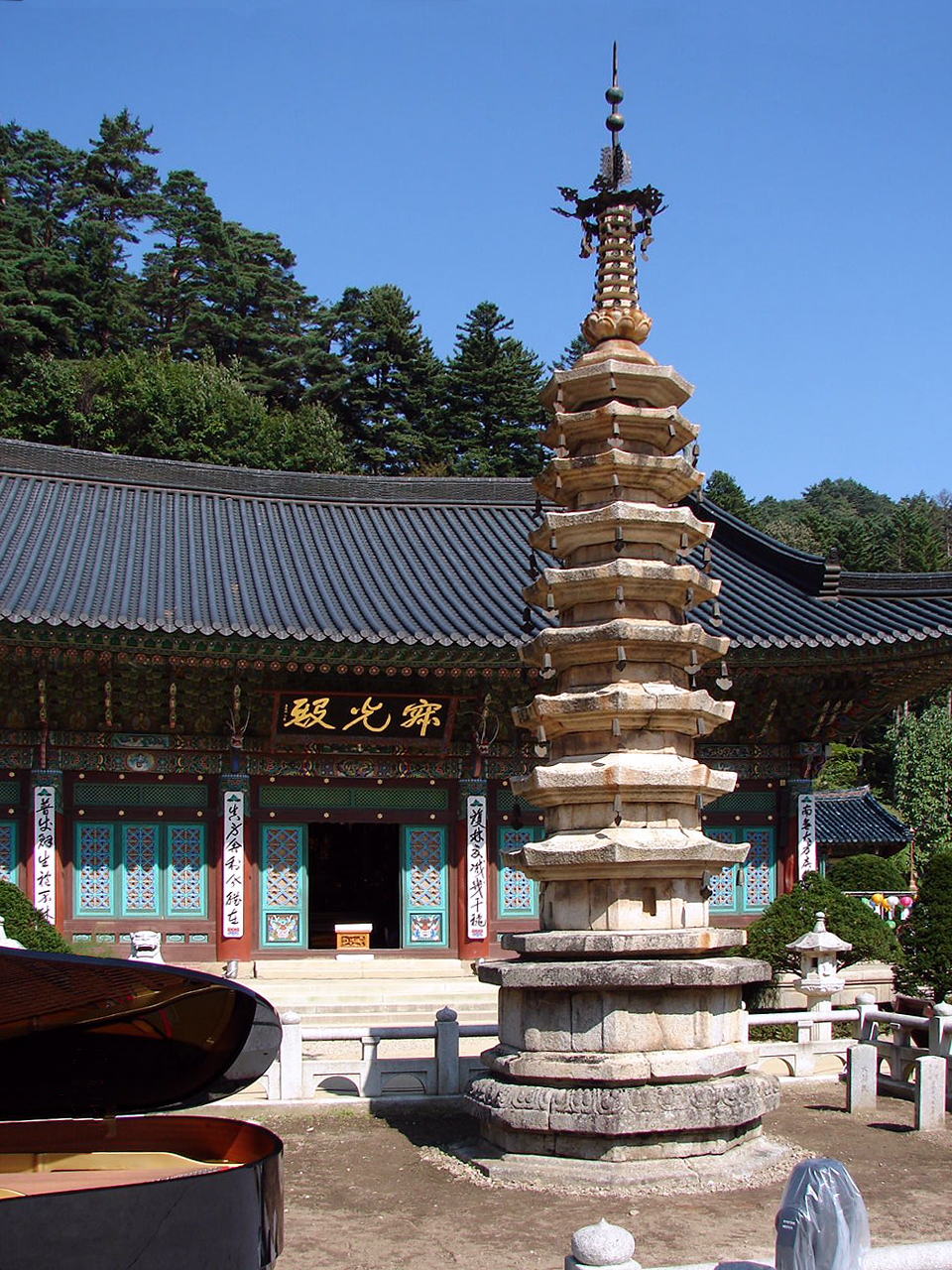 Woljeongsa Fir Forest Temple Pause thumbnail 9